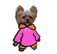 Coco Sticker