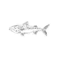 Fish And Chips Sticker by No1 Cromer