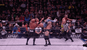 Dustin Rhodes Wrestling GIF by AEWonTV