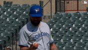 Pitching Blue Jays GIF by Toronto Blue Jays