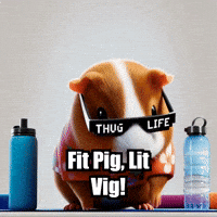 Fitness Workout GIF by Guinea Gambino
