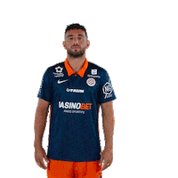 Ferri Raler Sticker by MHSC