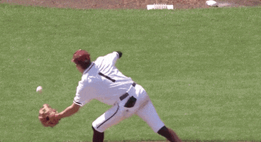 Texas Am Baseball GIF by NCAA Championships