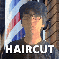 Barber Shop Hair GIF