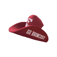 Santa Clara University Sc Sticker by Santa Clara Broncos