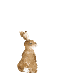 dekornik dekornik dekornikwallsticker happyrabbits Sticker