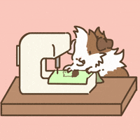 Licht Guineapig GIF