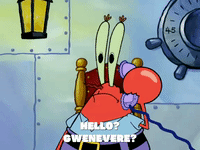 season 6 gullible pants GIF by SpongeBob SquarePants