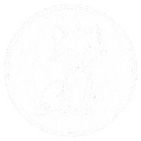 Happy Fox Sticker by Littlefoxx Store