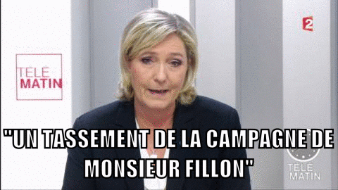 marine le pen election GIF by franceinfo