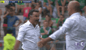 angry ligue 1 GIF by Toulouse Football Club