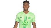 Germany Love Sticker by VfL Wolfsburg