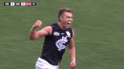 carlton fc GIF by Carlton Football Club