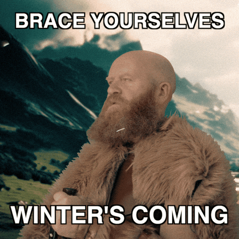 Ned Stark Winter GIF by Vinnie Camilleri