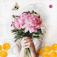 booksparks books tbr booksparks springbookdates GIF