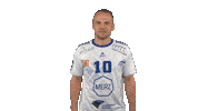 Sport Handball Sticker by LIQUI MOLY HBL