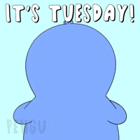 Penguin Hello GIF by Pudgy Penguins