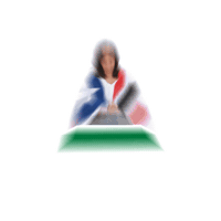 Pinheiro Sticker by Lucyana Genésio
