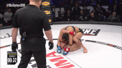 lena ovchynnikova fight GIF by Bellator