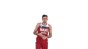 Pase Liga Endesa Sticker by ACB