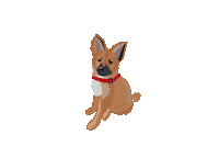 Dog Wink Sticker