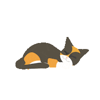 Sleepy Cat Sticker by Lesley University