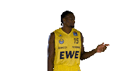 Ewe Baskets Basketball Sticker by EWE Baskets Oldenburg