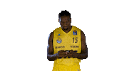 Ewe Baskets Basketball Sticker by EWE Baskets Oldenburg
