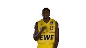 Ewe Baskets Basketball Sticker by EWE Baskets Oldenburg
