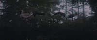 music video daya GIF by The Chainsmokers