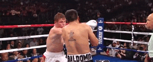 knockouts GIF