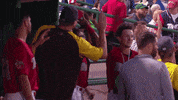Happy Celebration GIF by Fort Wayne TinCaps