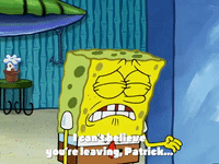 season 4 GIF by SpongeBob SquarePants