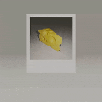 American Love GIF