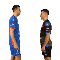 Volleyball Sticker by Halkbank Spor Kulübü
