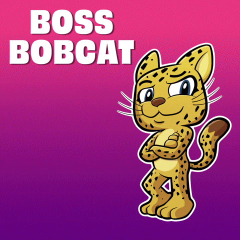 Big Boss GIF by VeeFriends