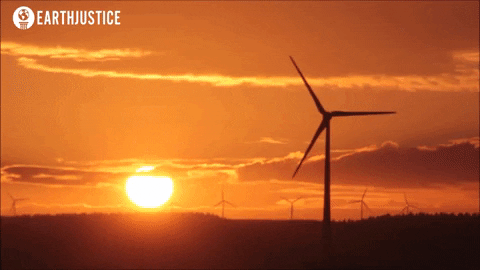 wind energy GIF by Earthjustice