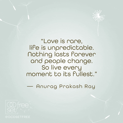 ocdsetfree inspiration zen wisdom inspire GIF