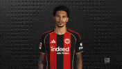 Eintracht Frankfurt GIF by Bundesliga