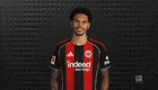 Eintracht Frankfurt GIF by Bundesliga