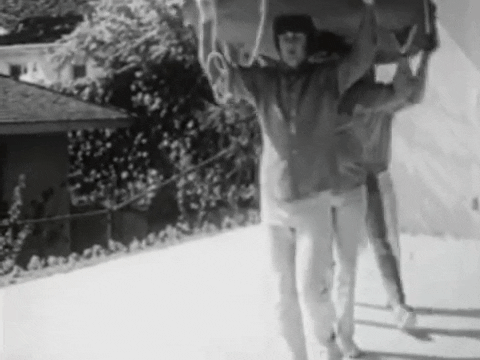 Pet Sounds GIF by The Beach Boys