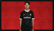 Sc Freiburg Hello GIF by Bundesliga