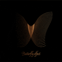 Butterfly Effect Magyargif GIF by Blue Fox The Bar
