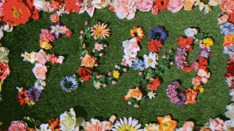 spring2018 wingme GIF