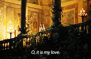 Rosez_ giphyupload romeo and juliet GIF