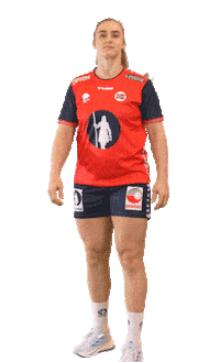 Euro 2024 Handball Sticker by Norges Håndballforbund