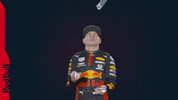 Ver Red Bull GIF by Red Bull Racing