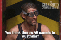 Im A Celebrity Au GIF by I'm A Celebrity... Get Me Out Of Here! Australia