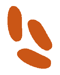 Semilla Sticker
