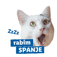 Cat Dog Sticker by Lidl Slovenija
